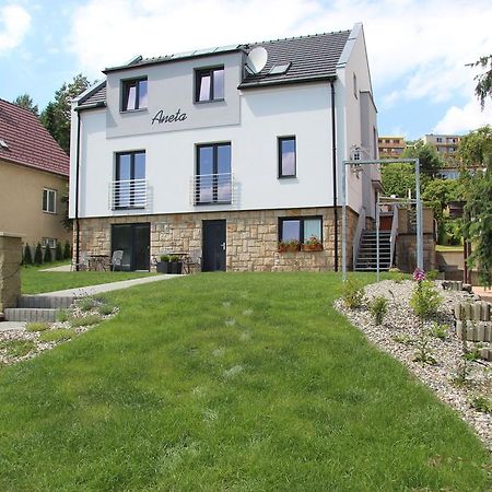 Vila Aneta Luhacovice Bagian luar foto